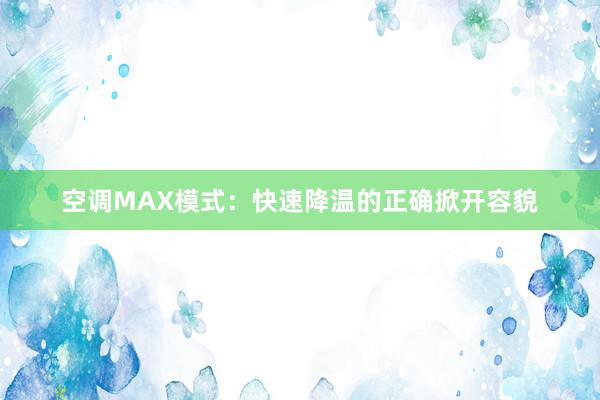 空调MAX模式：快速降温的正确掀开容貌
