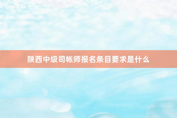 陕西中级司帐师报名条目要求是什么
