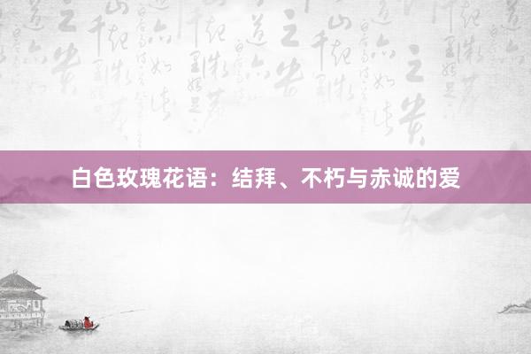 白色玫瑰花语：结拜、不朽与赤诚的爱