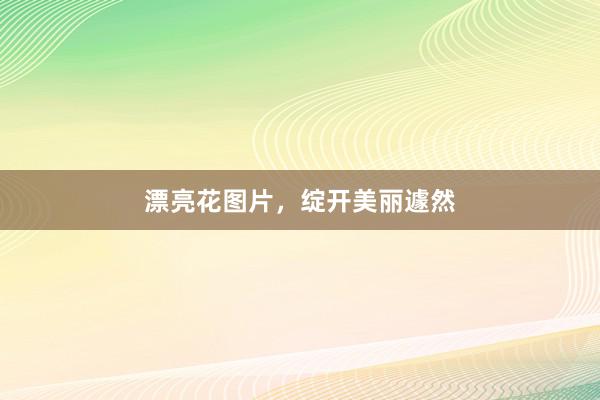 漂亮花图片，绽开美丽遽然