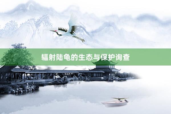 辐射陆龟的生态与保护询查
